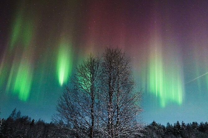 Rovaniemi: Aurora Hunt with Photograph & money back guarantee - A Northern Lights Hunt, Not a Fixed Evening Out