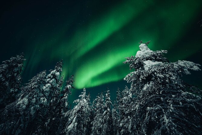 Rovaniemi: Aurora Hunt with Photograph & money back guarantee - A Small Group With Room for Personal Help