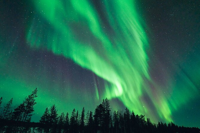 Rovaniemi: Aurora Hunt with Photograph & money back guarantee - Professional Photos Without Guesswork