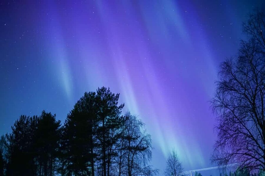 Rovaniemi: Aurora hunting and a fireside BBQ experience - Is $112 a fair price?