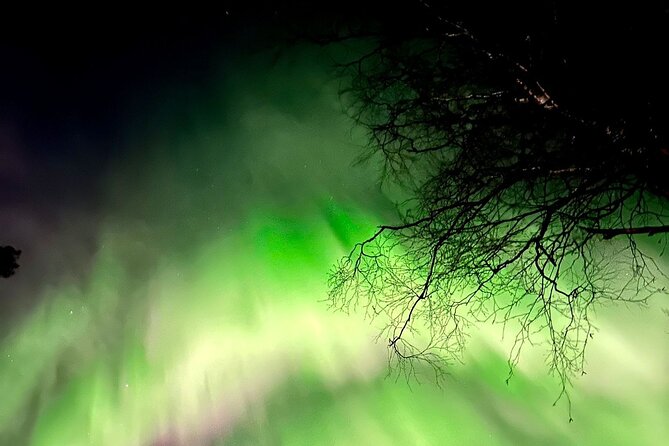 Rovaniemi: Aurora Hunting & Photography Tour - Starting at 7 p.m. in central Rovaniemi