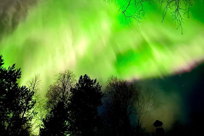 Rovaniemi: Aurora Hunting & Photography Tour - How the guides shape the night