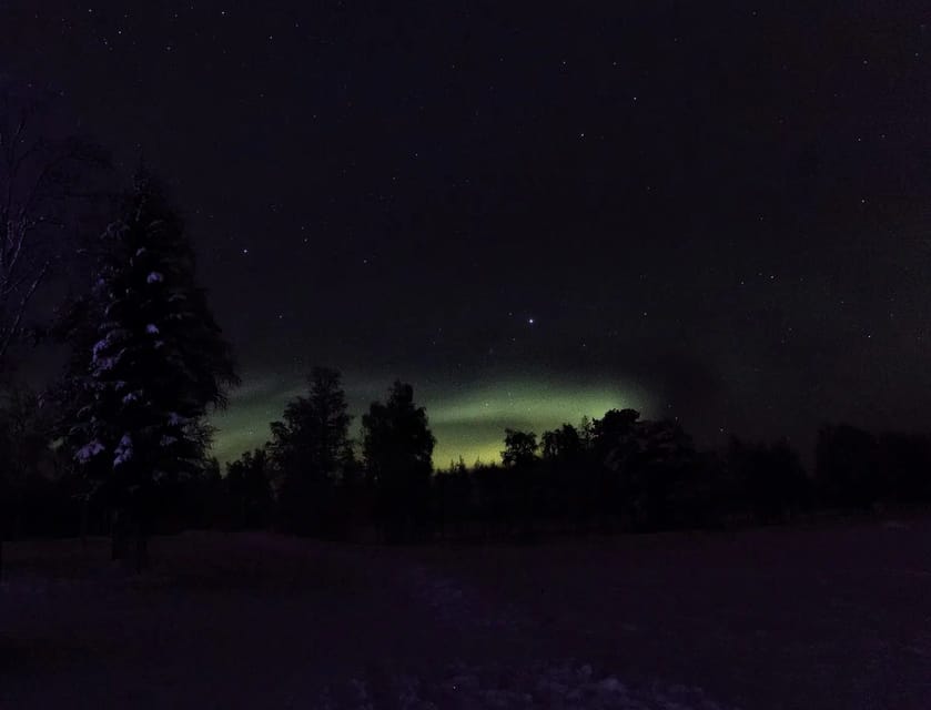 Rovaniemi: Aurora Hunting Tour in the Forest with Hot Drinks - Starting in central Rovaniemi or from your accommodation