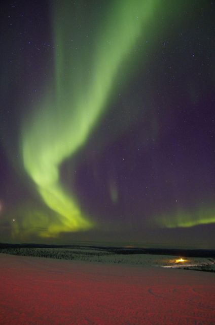 Rovaniemi: Aurora Hunting Tour with Photography by Van - Your pickup and the changing departure time