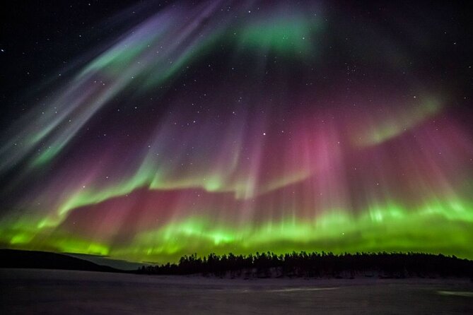 Rovaniemi Aurora Hunting Tour - Forest, frozen lake, and changing views