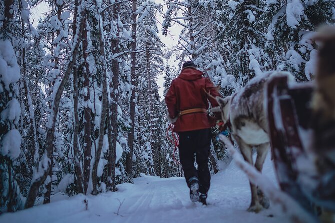 Rovaniemi: Authentic Lapland Reindeer Farm Visit & Sled Ride - The traditional reindeer sled ride