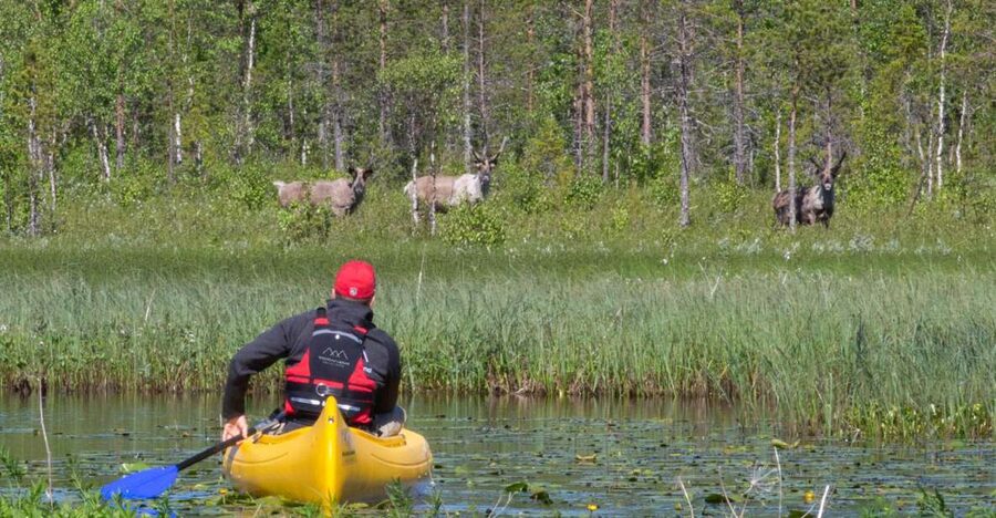 Rovaniemi: Authentic Reindeer Farm & Canoeing - Key points to know