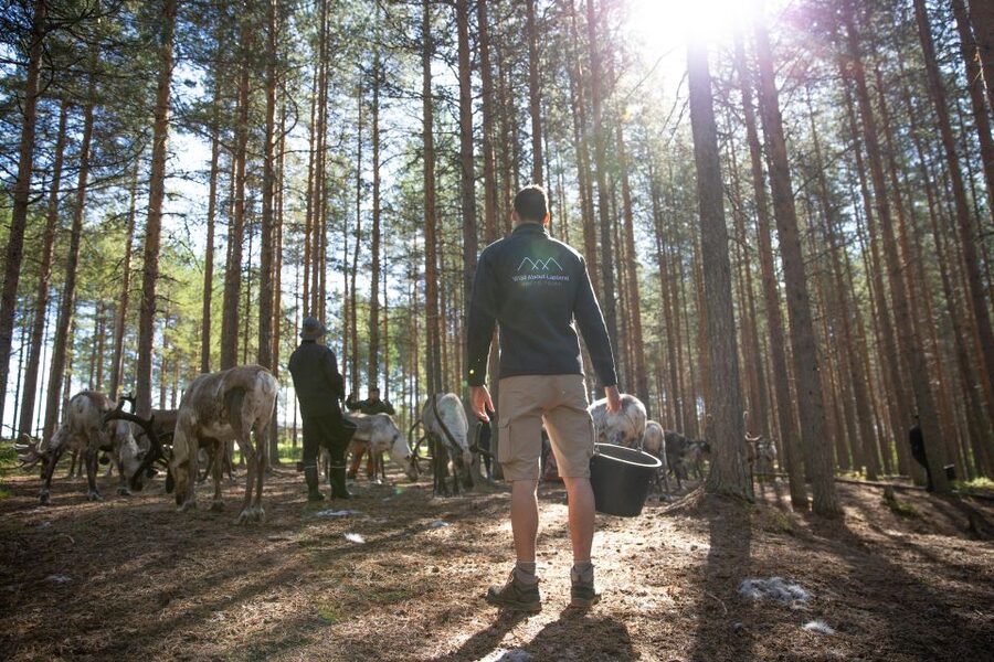 Rovaniemi: Authentic Reindeer Farm & Canoeing - Cancellation, pickup, and planning details