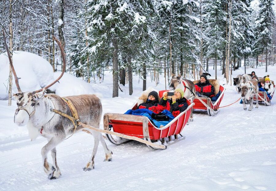 Rovaniemi: Authentic Reindeer Farm Visit & Short Sleigh Ride - What happens during the 2.5-hour visit