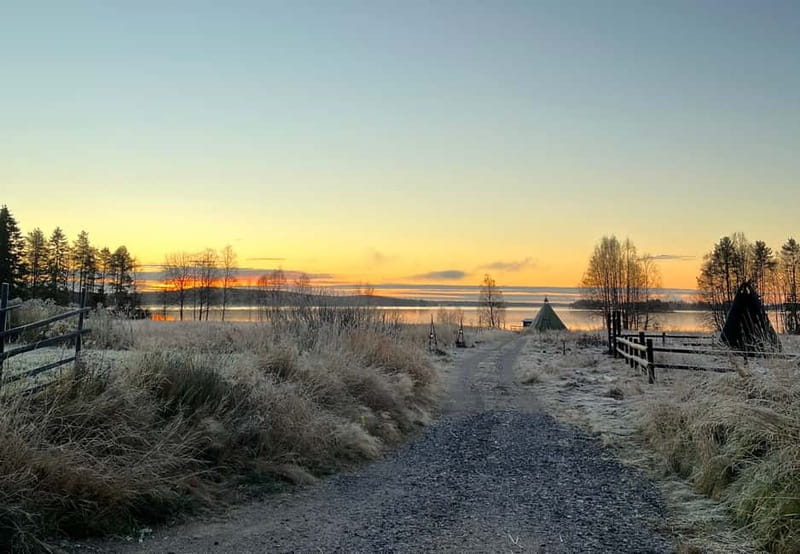 Rovaniemi: Autumn Husky Ride on Wheels - Riding the guide-steered carriage for 3 kilometers