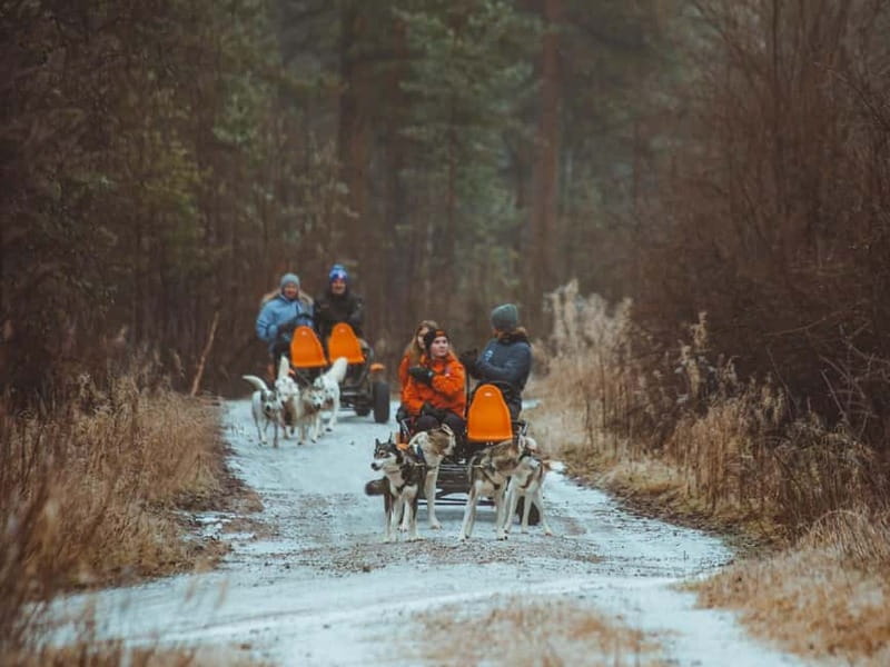 Rovaniemi: Autumn Husky Ride on Wheels - What the $169 price means