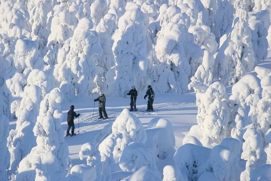 Rovaniemi: Cross Country Wilderness Ski Adventure - Moving quietly through Ounasvaara’s snowy woods