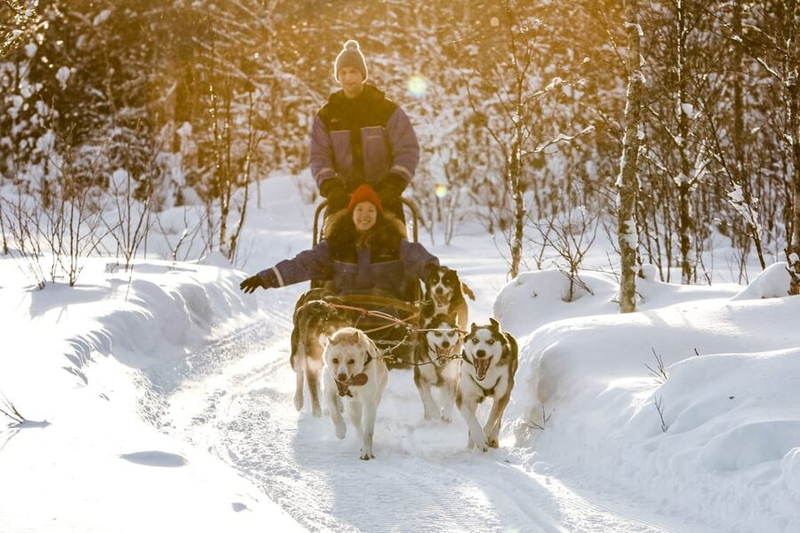 Rovaniemi: Daytime Husky Safari - Key points at a glance