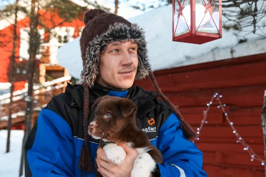 Rovaniemi: Daytime Husky Safari - Why driving the sled changes the experience