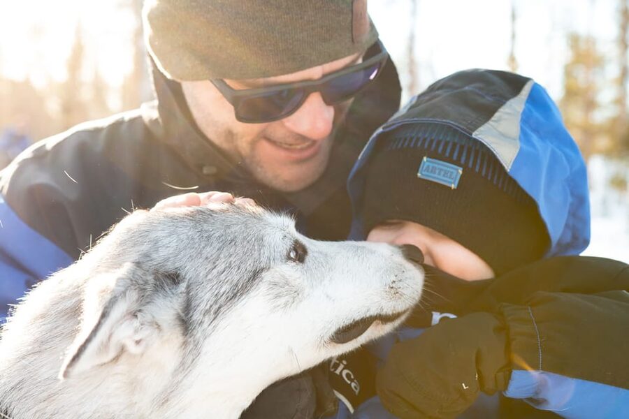 Rovaniemi: Daytime Husky Safari - What driving a husky sled feels like