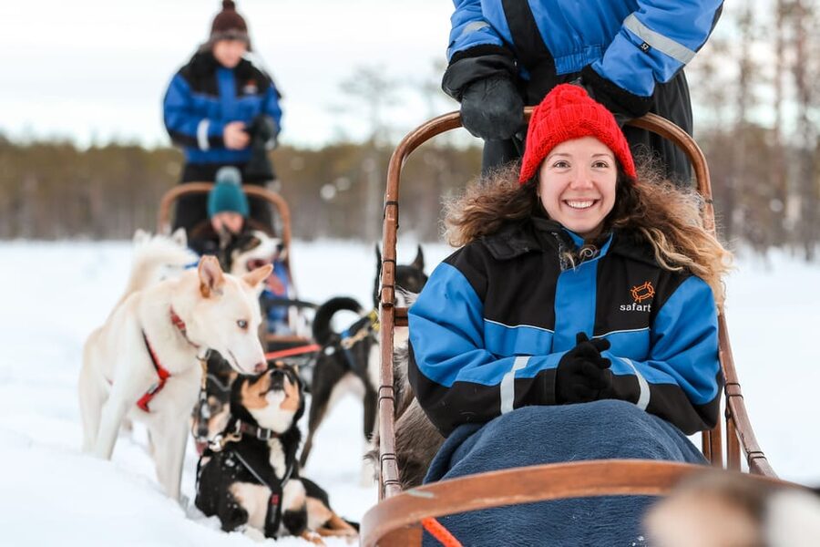 Rovaniemi: Daytime Husky Safari - Who should book this safari?