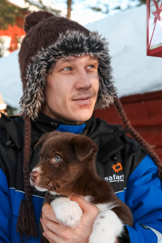 Rovaniemi: Daytime Husky Safari - From Rovaniemi to the kennel