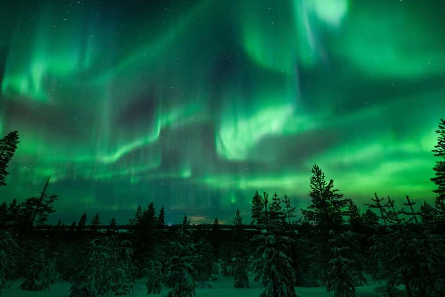 Rovaniemi: Discover the Northern Lights Photography Tour - Stop two: fire, food, and a longer stay