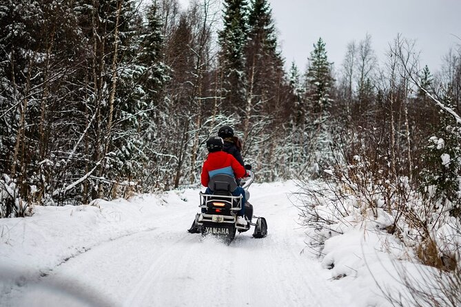Rovaniemi: Drive New 2025 Snowmobiles on Arctic Safari & BBQ - Key points to know before booking