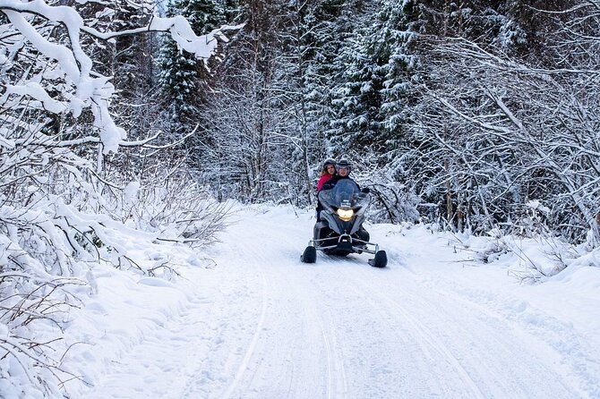 Rovaniemi: Drive New 2025 Snowmobiles on Arctic Safari & BBQ - The barbecue by the fire