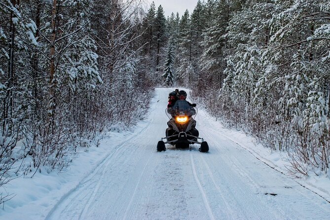 Rovaniemi: Drive New 2025 Snowmobiles on Arctic Safari & BBQ - Learning to handle a 2025 snowmobile