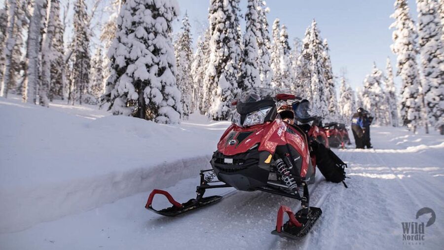 Rovaniemi: Easy Snowmobile Safari - Key points to know before you book