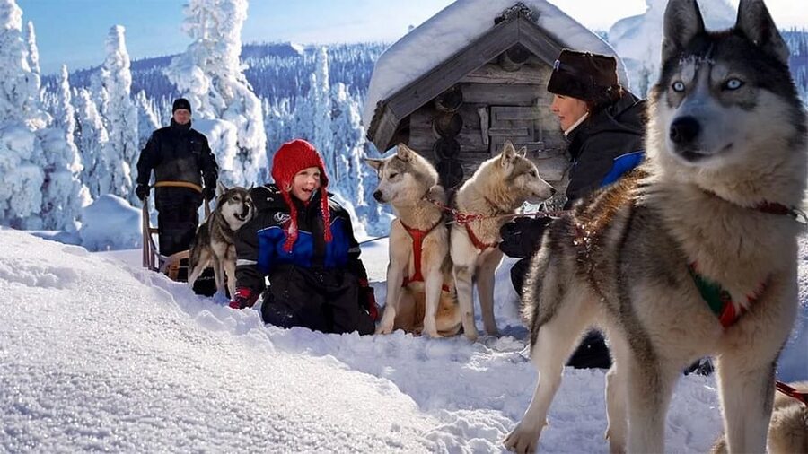 Rovaniemi: Family Friendly Husky Ride and Farm Visit - Meeting the huskies outside Rovaniemi