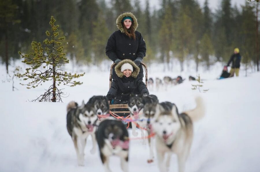 Rovaniemi: Family Friendly Husky Ride and Farm Visit - Hot drinks, snacks, and winter comfort