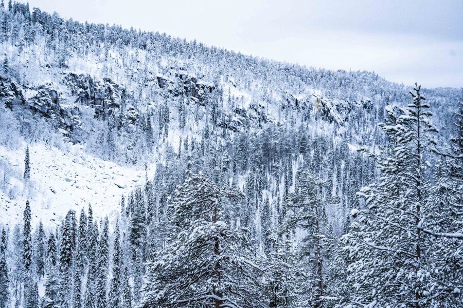 Rovaniemi: Frozen Waterfalls of Korouoma Canyon & Pro Photos - The guides set the tone