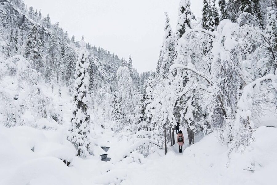 Rovaniemi: Frozen Waterfalls of Korouoma Canyon & Pro Photos - Why Korouoma is worth the long ride from Rovaniemi