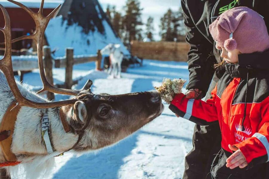 Rovaniemi: Full-Day Snow and Fun Activities - A snow sampler outside Rovaniemi
