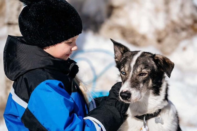 Rovaniemi: Full-Day Snow and Fun Activities - Reindeer stories and a slower Lapland moment
