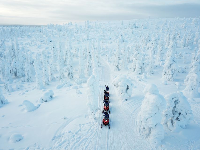Rovaniemi: Full-Day Snowmobile Safari into the Wilderness - The first ride through thick forest