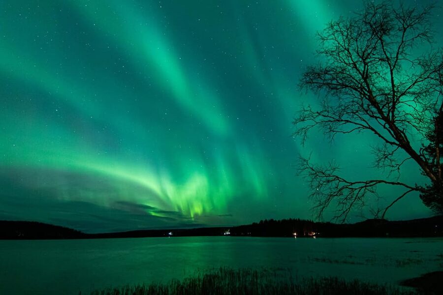 Rovaniemi: Guaranteed Aurora Hunting Tour with Local Guide - Key points before you book