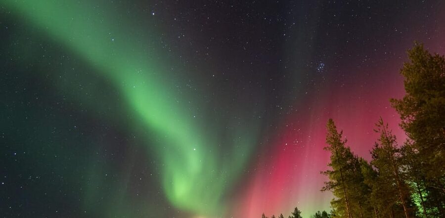 Rovaniemi: Guaranteed Aurora Hunting Tour with Local Guide - Small details that make the van more comfortable