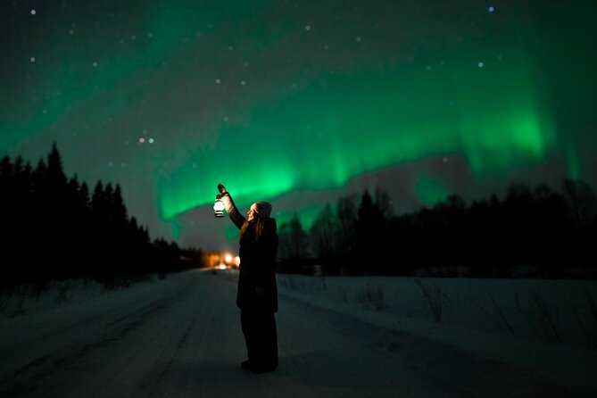 Rovaniemi: Guaranteed Northern Lights - Small Group & Photography - The viewing stops are guided by conditions