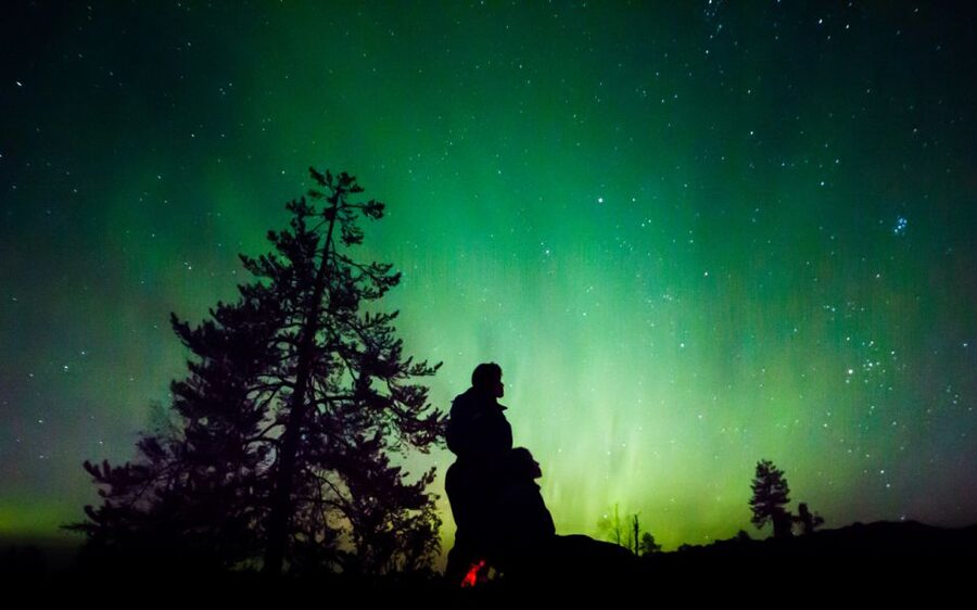 Rovaniemi: Guided Northern Lights Tour - Key points to know before you book