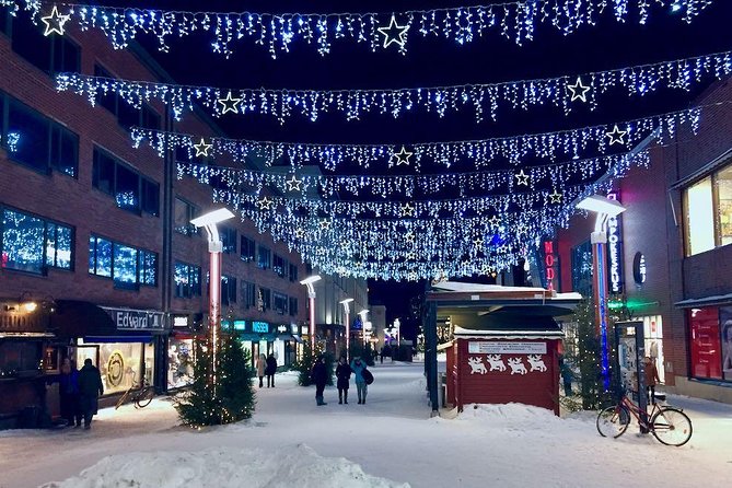Rovaniemi Guided Tour and Santa Claus Village - Timing, group size, and the pace of the visit