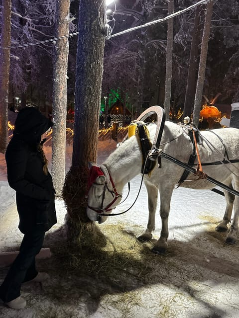 Rovaniemi: Guided Tour of Santa Claus Village - Santa’s Main Post Office and the appeal of sending a letter