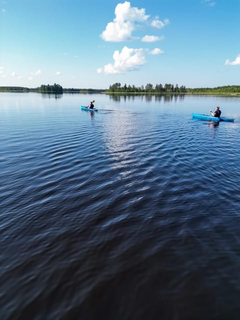 Rovaniemi: Guided Wilderness Kayaking Adventure - Booking advice before you commit