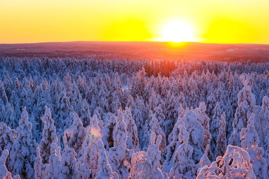 Rovaniemi: Guided Wilderness Snowmobile Ride - From the office to the trail