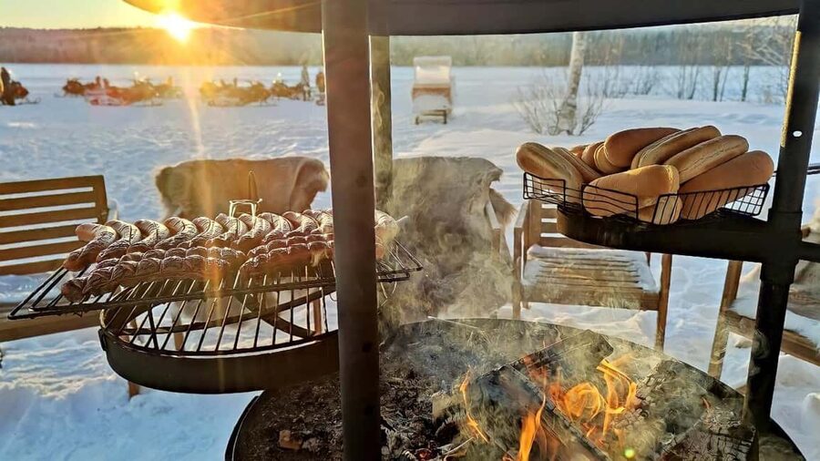 Rovaniemi: Guided Wilderness Snowmobile Safari & Barbeque - Children, passengers, and driving rules