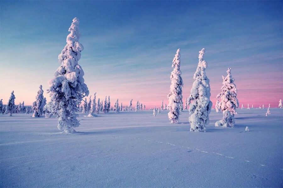 Rovaniemi: Half-Day Snowmobile & Ice Fishing Experience - Snowmobile power, then stillness on the ice
