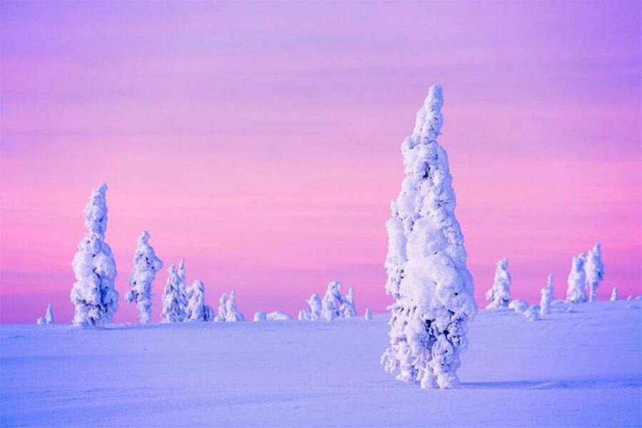 Rovaniemi: Half-Day Snowmobile & Ice Fishing Experience - What the $258 price really includes