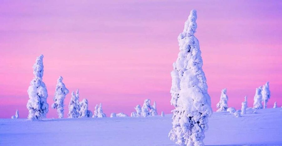 Rovaniemi: Half-Day Snowmobile & Ice Fishing Experience - Timing and pickup advice for Rovaniemi
