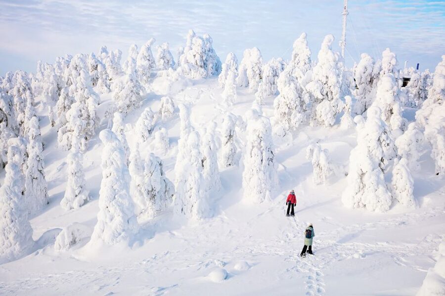 Rovaniemi: Hiking and Snowshoeing Adventure in Lapland - Key points to know before you book