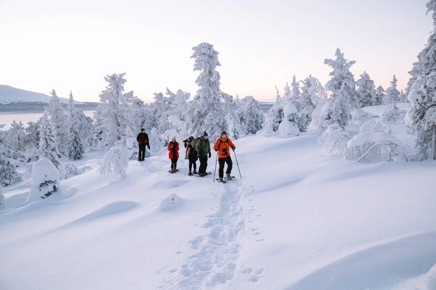 Rovaniemi: Hiking and Snowshoeing Adventure in Lapland - A quiet start near Rovaniemi