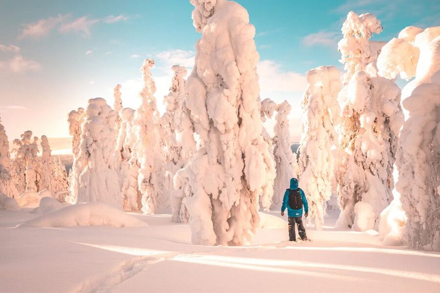 Rovaniemi: Hiking and Snowshoeing Adventure in Lapland - Is $104 fair for three hours?
