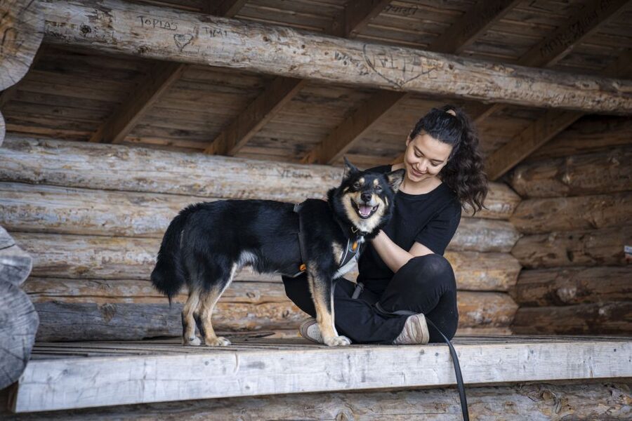 Rovaniemi: Hiking Experience with Lappish Dogs - The Lakeside Setting Makes It More Than a Dog Meet