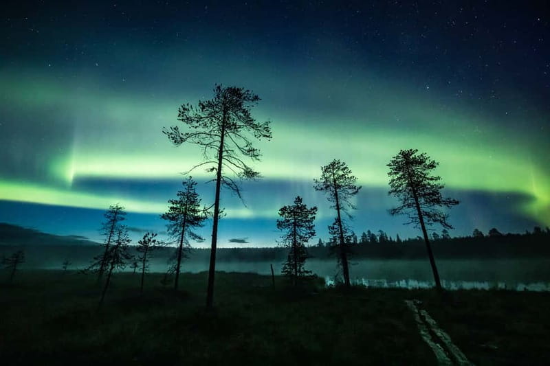 Rovaniemi: Horse Sleigh Ride under the Night Sky - Key points at a glance